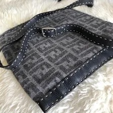 Fendi Removable Strap 3