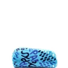 Goyard Eponge Printed 4