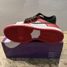 Nike SB Dunk Low J-Pack BQ6817-600 ’S 4