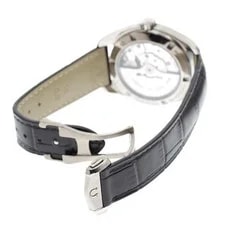 Omega Seamaster Aqua Terra Goodplanet 231.92.39.21.04.001 39mm Ti White #C2870 3