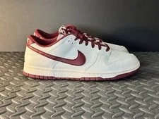 Size 11 - Nike Dunk Retro Low Team 2