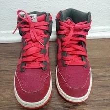 Nike Dunk High Nobel 317982-613 3