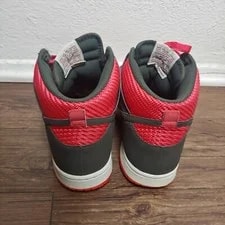 Nike Dunk High Nobel 317982-613 4