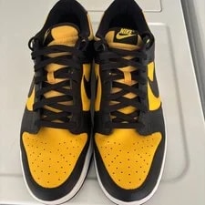 NIKE — Nike Dunk Low Reverse Low Top FZ4618-001 — Sneaker — resale