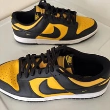 Nike Dunk Low Reverse Low Top FZ4618-001 3