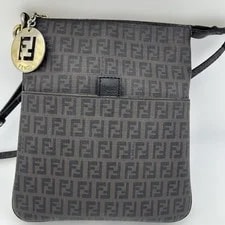 Fendi Crossbody X 2