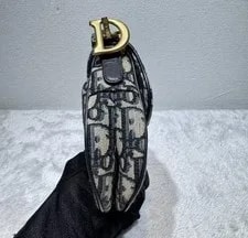 Dior Saddle Mini Embroidery 3