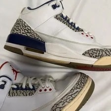 Jordan 3 Retro OG 2016 2