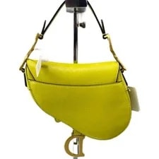 Dior D Fence Saddle Zafferano Grained (ym052626c1r) 3