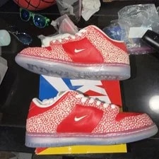 Size 9.5 - Stingwater X Nike Dunk SB Low Magic 2
