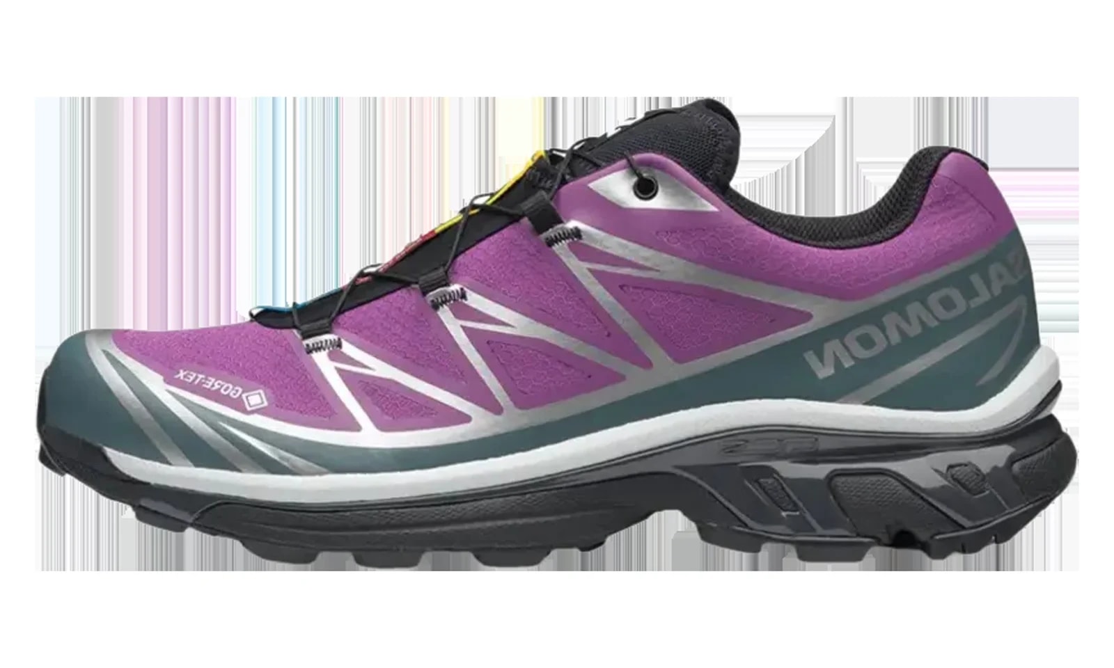 XT-6 Gore-Tex " Grape Stormy Weather" L47990100 4