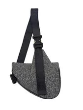 Christian Dior Crossbody 2