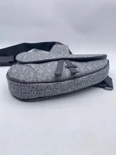 Christian Dior Crossbody 3