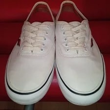 8.0US Discontinued Product Professional Standard Vans Authentic Pro LTD Coll 3