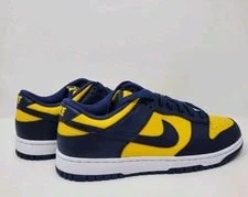 Size 9.5 - Nike Dunk Low 2021 2