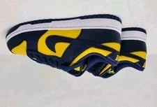 Size 9.5 - Nike Dunk Low 2021 3