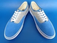 Vans Authentic V44CF Bump of Chicken Without Box Us10.5 4