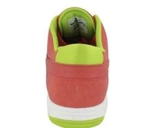 Nike SB Paul Rodriguez 6 "Sunburst" 4
