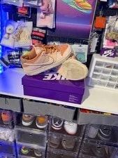 Size 12 - Nike Dunk SB Low Trocadéro Gardens 2