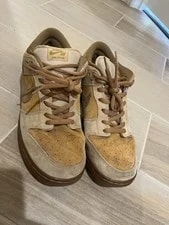 Nike SB Dunk Low Pro Reverse What Forbes 2
