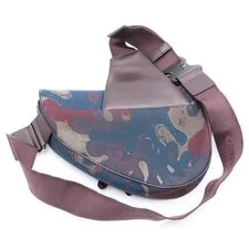 Dior Peter Doig Saddle Belt Condition B 2