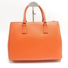 Prada and Satchel T10445161 2