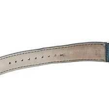 Jaeger-lecoultre Master Ultra Thin Q1458404/145.8.79 34mm SS/Leather #C16628 3