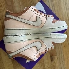 Nike SB Dunk Low Shoes ’s 9.5 “Trocadéro Gardens” Paris FV5926-200 3