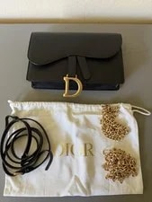 Dior Saddle Detachable Strap Box Dust 2