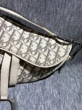 Dior / and Floral Embroidered Saddle 4