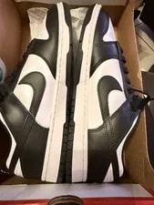 Nike Dunk Low Retro / Low Top Lace-Up DD1391-100 2
