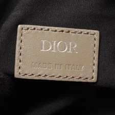 Dior Saddle Body #RCB12316 4