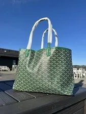 Goyard Patterned With Removable for 2