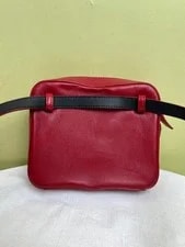 Saint Laurent Lou Camera Mini Crossbody WaistBag Duty Paid 2