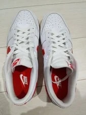 10.5US Nike Dunk Low 3