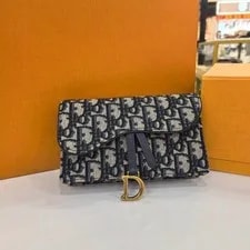 Dior Saddle Print Belt, Crossbody Waist Fashion Daily 2