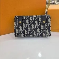 Dior Saddle Print Belt, Crossbody Waist Fashion Daily 3