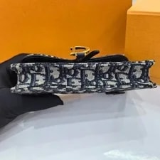 Dior Saddle Print Belt, Crossbody Waist Fashion Daily 4