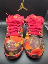 Nike SB — Nike SB Dunk Low "Wizard OF OZ" 2024 - Size 9 - Vnds — Sneaker — resale