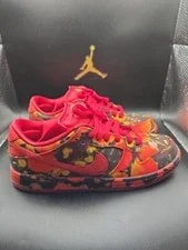 Nike SB Dunk Low "Wizard OF OZ" 2024 - Size 9 - Vnds 2