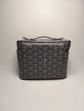 Goyard Muse Vanity Case and 2
