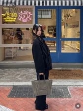 Celine Luggage Large Elephant Grained Hand & Carr 3