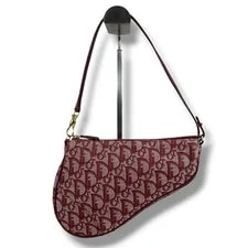 Christian Dior Trotter Saddle Pochette Y2K 2