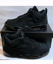 Air Jordan 4 “ Cat” 2025 2