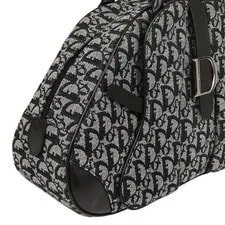 Christian Dior Double Saddle Trotter 05-MA-0092 177082 3