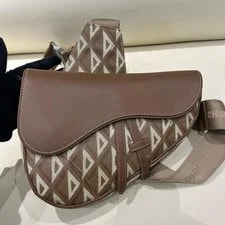 Dior Saddle CD Metal Check Grain and - Excellent #V57K4C 4
