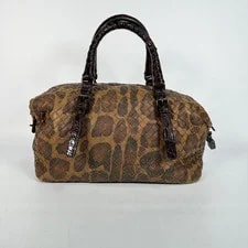 Bottega Veneta Limited Edition Leopard Cadena Mini Boston 2