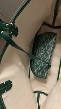 Goyard Saint Louis Pattern W/ Dust 2