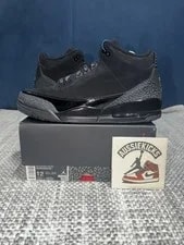 Air Jordan 3 Retro 2025 Cat 3