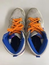 Nike Sb Dunk High Prm Sb Dunk High Prm 27Cm GTM24 3